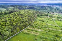 Alemania, Baden-Wuerttemberg, Swabian Franconian forest, Rems-Murr-Kreis, Vista aérea del prado con árboles frutales dispersos y caminos - foto de stock