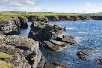 Grande-Bretagne, Écosse, îles Orcades, Birsay, falaises rocheuses sur la côte nord du continent — Photo de stock