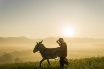 Italy, Tuscany, Borgo San Lorenzo, senior man walking with donkey in field at sunrise above rural landscape — Stock Photo