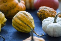 Gros plan de citrouilles ornementales — Photo de stock