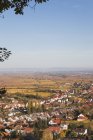 Германия, Рейнланд-Пфальц, Пфальц, Немецкий винный маршрут, винная деревня Gimmeldingen и осенние виноградники, Рейнская долина вдали — стоковое фото