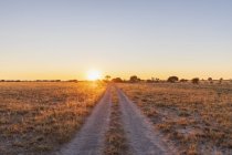 Botswana, Kalahari, zentrales Kalahari-Wildreservat, Piste bei Sonnenaufgang — Stockfoto