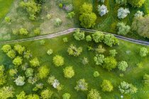 Germany, Baden-Wuerttemberg, Swabian Franconian forest, Rems-Murr-Kreis, Aerial view of meadow with scattered fruit trees and dirt road — Stock Photo
