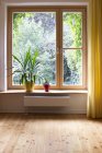 Topfpflanzen auf der Fensterbank — Stockfoto