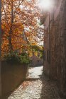 Германия, Рейнланд-Пфальц, Фрейнсхайм, городская стена и пустая аллея осенью — стоковое фото