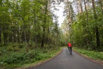 Male athlete mountain biking in woods — Stock Photo