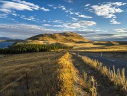 Nova Zelândia, Ilha do Sul, Região de Canterbury, pôr do sol perto do Lago Tekapo — Fotografia de Stock