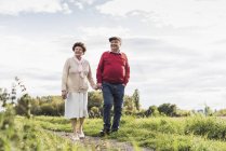 Senior couple walking on path in green field — Stock Photo