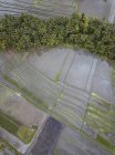 Indonesia, Bali, Veduta aerea dell'isola di Bali — Foto stock