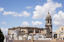 Spanien, Andalusien, Malaga, Kathedrale von Malaga — Stockfoto