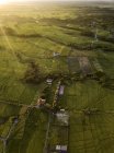 Indonésia, Bali, Kedungu, Vista aérea dos campos de frice — Fotografia de Stock