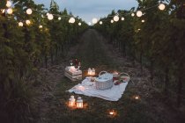 Cibo e luce disposti in vigna per un picnic di notte — Foto stock