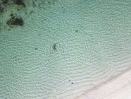 Indonesia, Bali, Veduta aerea della spiaggia di Karma Kandara, donna che nuota in acqua — Foto stock