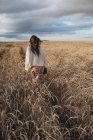 Вид на молодую женщину, идущую по кукурузному полю — стоковое фото