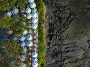 Indonesia, Bali, Vista aérea de sombrillas en Tanah Lot-templo - foto de stock