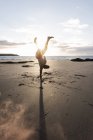 Людина робить рух навчання на пляжі на заході сонця — стокове фото