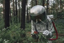 Spaceman exploring nature, examining plants in forest — Stock Photo