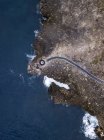 Indonesia, Bali, Veduta aerea della spiaggia di Nusa Dua — Foto stock