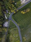 Indonesia, Bali, Aerial view of rice fields — Stock Photo