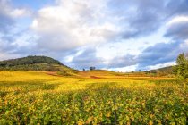 Germania, Assia, Assia Bergstrasse tra Bensheim e Heppenheim in autunno — Foto stock