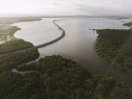 Indonesia, Bali, Veduta aerea di una strada che attraversa la foresta di mangrovie sulla costa — Foto stock