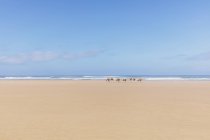 Morocco, Caravan at the beach — Stock Photo