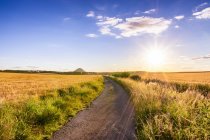 Regno Unito, Scozia, East Lothian, pista sterrata tra campi di orzo al tramonto — Foto stock