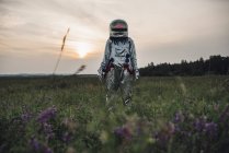 Spaceman exploring nature, standing in blooming meadow at sunset — Stock Photo