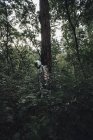 Космонавт исследует природу, смотрит на растения в лесу — стоковое фото