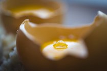 Bolla su tuorlo d'uovo, primo piano — Foto stock
