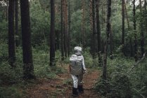 Увлечение природой, прогулки по лесу — стоковое фото