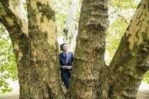 Homem de negócios usando fones de ouvido em pé na árvore grande — Fotografia de Stock