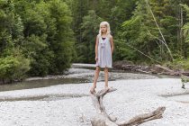 Chica de pie sobre madera muerta en la orilla del río - foto de stock
