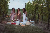 Друзья устраивают пикник на винограднике, жгут искры — стоковое фото