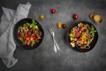 Panzanella aus geröstetem Ciabatta, Rucola, roten Zwiebeln, Tomaten und Basilikum — Stockfoto