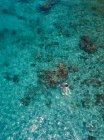 Indonésia, Bali, Vista aérea da praia da Lagoa Azul, snorkelers — Fotografia de Stock