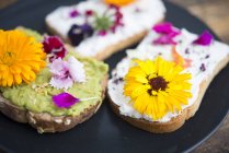 Toast con hummus di avocado e formaggio sprad con fiori commestibili — Foto stock