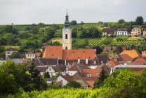 Austria, Bassa Austria, Waldviertel, Wachau, Langenlois, Chiesa parrocchiale, vigneto — Foto stock