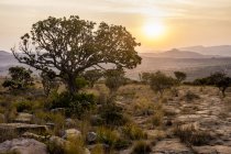 Afrique, Afrique du Sud, Mpumalanga, Panorama Route, Blyde River Canyon Nature Reserve au coucher du soleil — Photo de stock