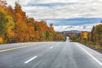 Canada, Ontario, main road through colorful trees in the Algonquin park area — Stock Photo