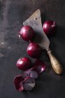 Cebollas rojas enteras y en rodajas y una cuchilla oxidada - foto de stock