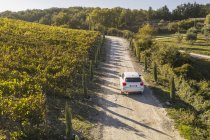 Италия, Тоскана, Сиена, автомобиль едет по колее через виноградник — стоковое фото