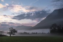Austria, Ausseer Land, Paisaje en la niebla de la mañana - foto de stock