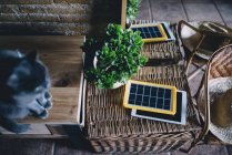 Russian blue cat next to a solar panel charger, tablet and plant — Stock Photo