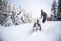 Austria, Altenmarkt-Zauchensee, giovane donna con cane nella foresta invernale — Foto stock