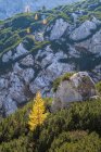 Allemagne, Bavière, Haute Bavière, Berchtesgadener Land, Parc national de Berchtesgaden — Photo de stock