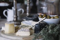 Cheese selection on buffet of luxury brunch — Stock Photo