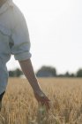 Nahaufnahme eines Mannes auf einem Feld, der Weizenähren berührt — Stockfoto