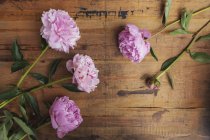 Pink peonies on wooden background — Stock Photo