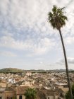 Іспанія, АРТА, вид на місто з пальмовими ялинкою на передньому плані — стокове фото